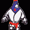 judo club de gerland judo club de gerland